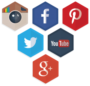 Icons from Pinterest, Instagaram, Facebook, Twitter, YouTube, and Google Plus